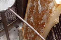 IMG_20160610_104127