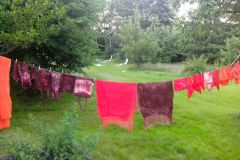 IMG_20160623_204053