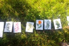 IMG_20160624_164648