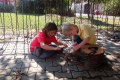 IMG_20160907_112642