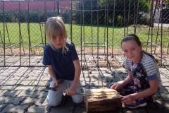IMG_20160907_112656