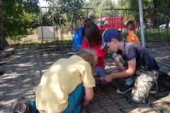 IMG_20160907_113119