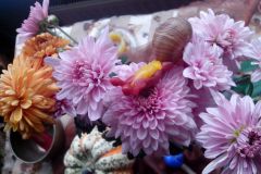 IMG_20161019_105011