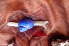 IMG_20161019_105107