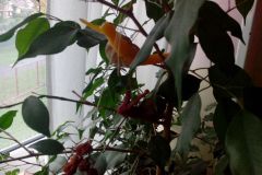 IMG_20161019_105119