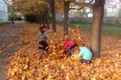 IMG_20161031_144829