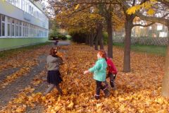 IMG_20161031_144832