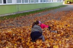 IMG_20161031_144934