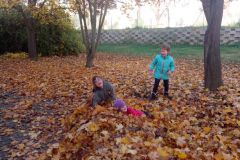IMG_20161031_144945
