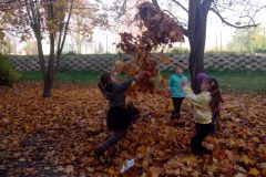 IMG_20161031_145007