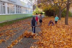 IMG_20161031_145125
