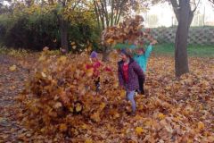 IMG_20161031_145541