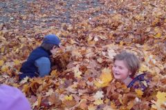 IMG_20161031_150227