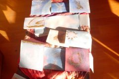 IMG_20161125_134053