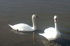 20170303_100151
