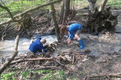 IMG_20180417_120555