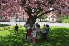 2018-04-25 Jaro a rovnováha