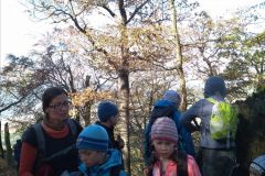 IMG_20181005_103603