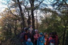 IMG_20181005_103615