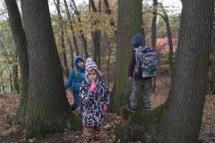 IMG_20181102_112152