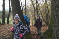 IMG_20181102_112202