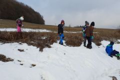 2019-01-25 Zamrzlý rybníček