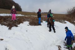 20190125_110647