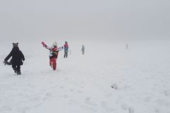 2019-02-08 Koník