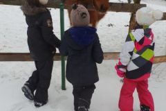 20190208_122735