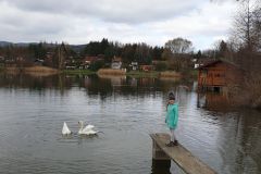 20190329_102639