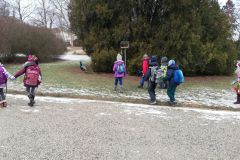 2019-03-29 Ploskovice a pávi