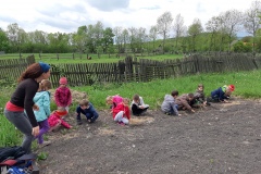 2019-05-10 Políčko v Třebušíně