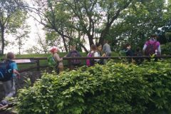 IMG_20190513_125721