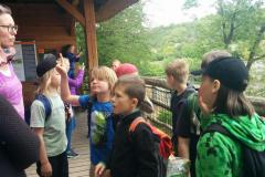 IMG_20190513_130806