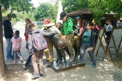 IMG_20190513_132250
