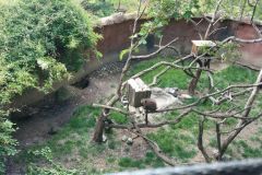 IMG_20190513_134029