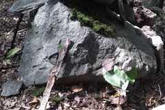 IMG-20190923-WA0017
