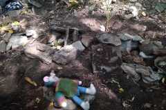 IMG-20190923-WA0022