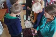 IMG_20191025_111900