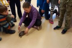 2019-12-04 Zvířátka ve třídě