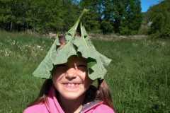 IMG-20200601-WA0025