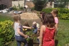 IMG-20200625-WA0004