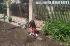 IMG-20200625-WA0008