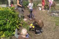 IMG-20200625-WA0010