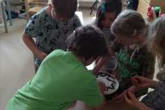IMG-20200628-WA0014