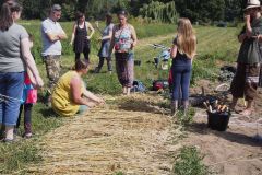 zne-Camphill-18-7-2020-16