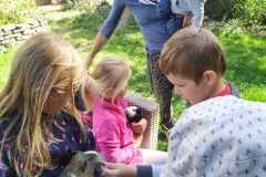 IMG-20200911-WA0002