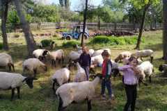IMG-20200911-WA0003
