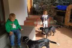 IMG-20200911-WA0010