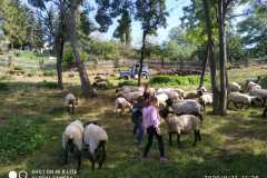 IMG-20200911-WA0011
